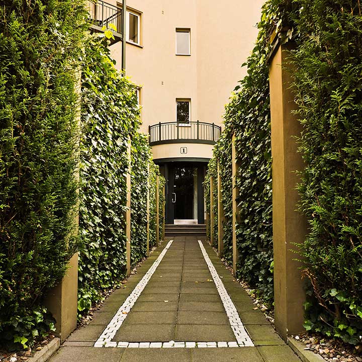 Warum Fertig-Hecke
